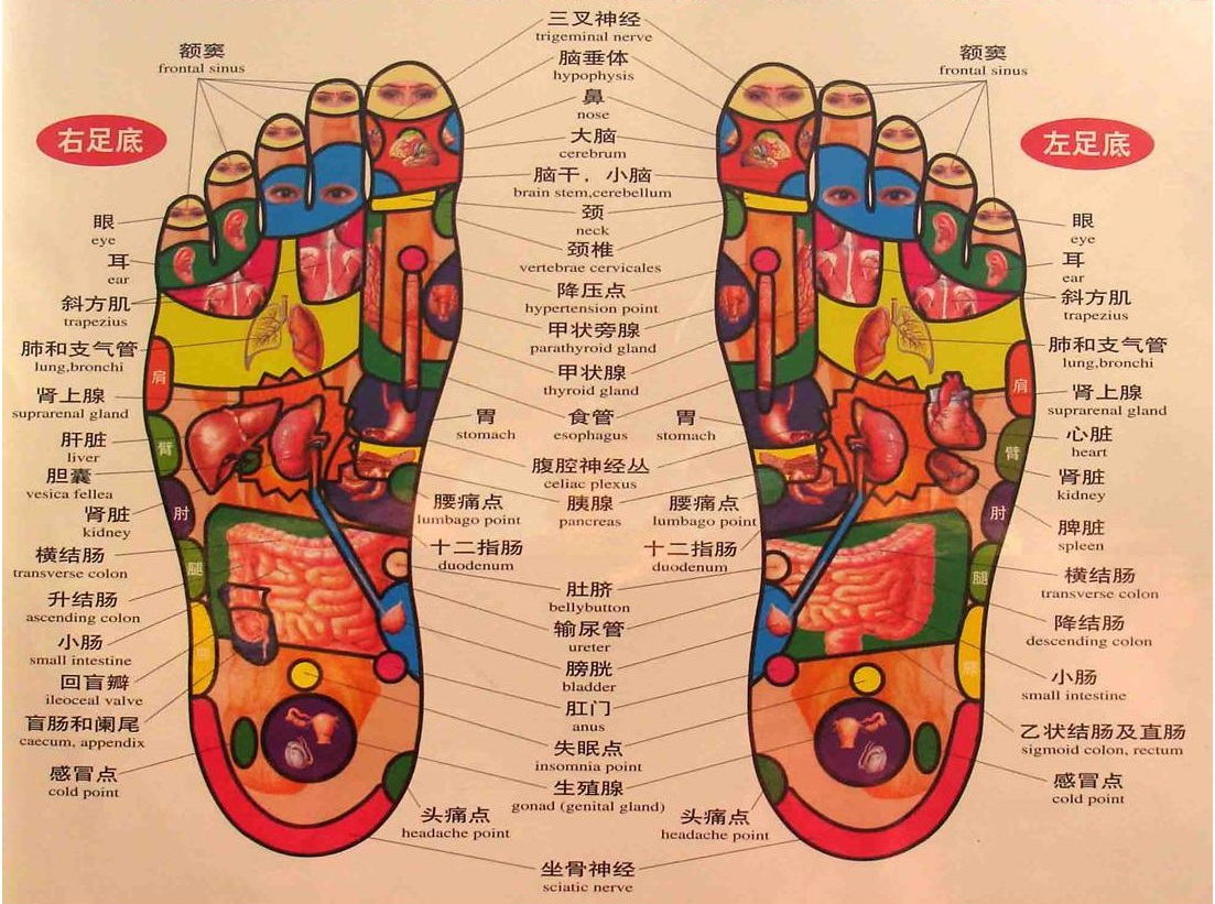 老年人口诀_乘法口诀表图片(3)