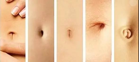 肚脐眼藏着“生老病死”的秘密0肚脐泥”究竟